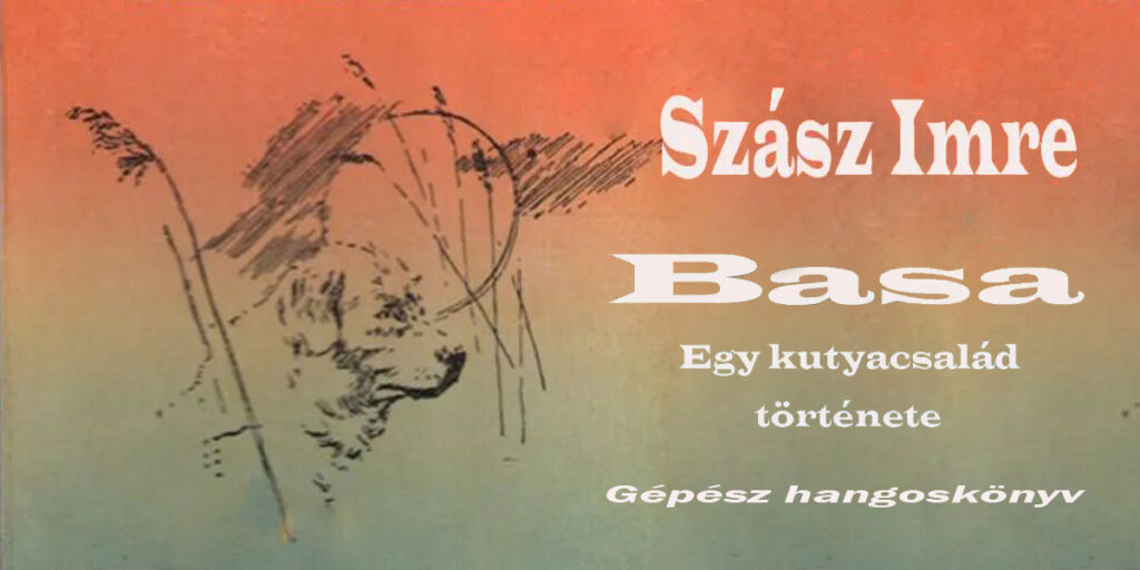 Basa